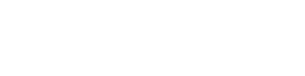 logo Orbyta Business Partner